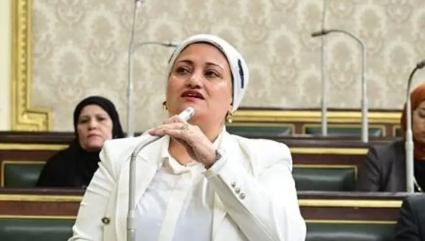 النائبة سناء السعيد عن التعديلات الجديدة لقانون الإيجار القديم: بادرة أمل وحل وسط