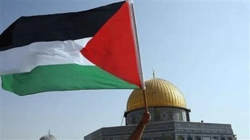 مصر ودول الرئاسة المشتركة لمؤتمر حل الدولتين يعربون عن قلقهم إزاء التصعيد المستمر