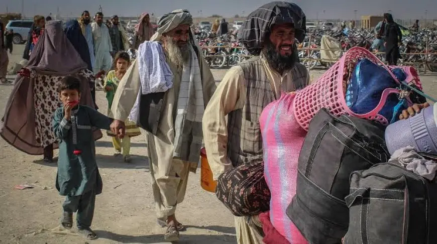مفوضية الأمم المتحدة للاجئين تلغي أكثر من 3000 وظيفة بسبب نقص التمويل