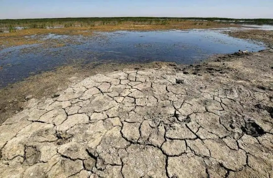 منظمة التعاون الاقتصادي: المناطق المتضررة من الجفاف تضاعفت خلال 120 عاما