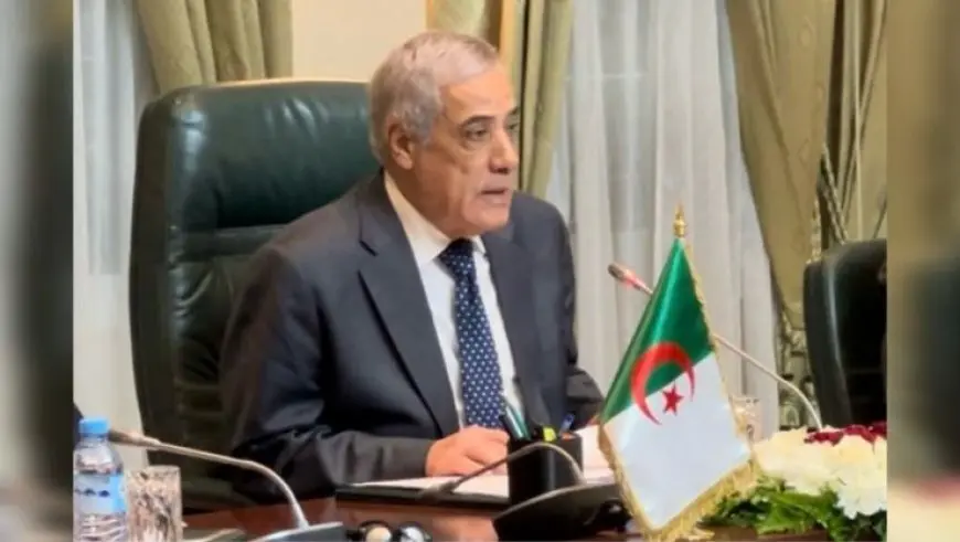 رئيس وزراء الجزائر: نجتهد للتكيف مع الأنظمة المالية الدولية