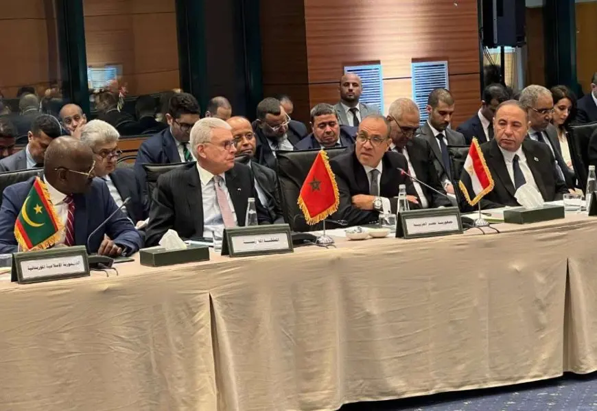 وزير الخارجية يشارك في الاجتماع الوزاري العربي في إسطنبول على هامش اجتماع منظمة التعاون الإسلامي