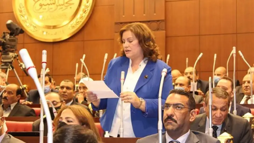 أمين سر لجنة العلاقات الخارجية بمجلس الشيوخ: مصر تتحرك بديناميكية لنزع فتيل التوتر الإقليمي ومواجهة خطاب العدوان