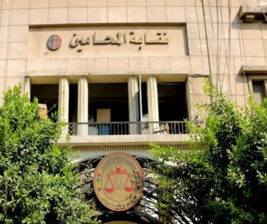 القضاء الإداري في حيثيات بطلات الدعوة لعمومية المحامين الطارئة: تستر خلف حرية الرأي وتعطيل لمرفق العدالة