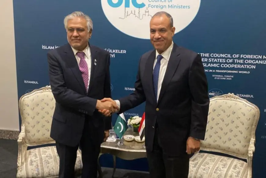 تقارب الرؤى بين مصر وباكستان تجاه أبرز القضايا الدولية لاسيما التصعيد بين إيران وإسرائيل