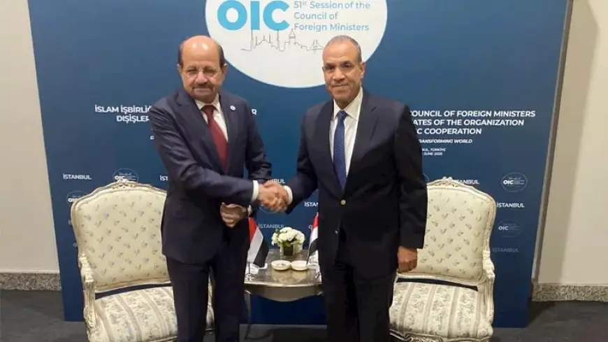 وزير الخارجية يؤكد دعم مصر لليمن وأولوية ملف البحر الأحم