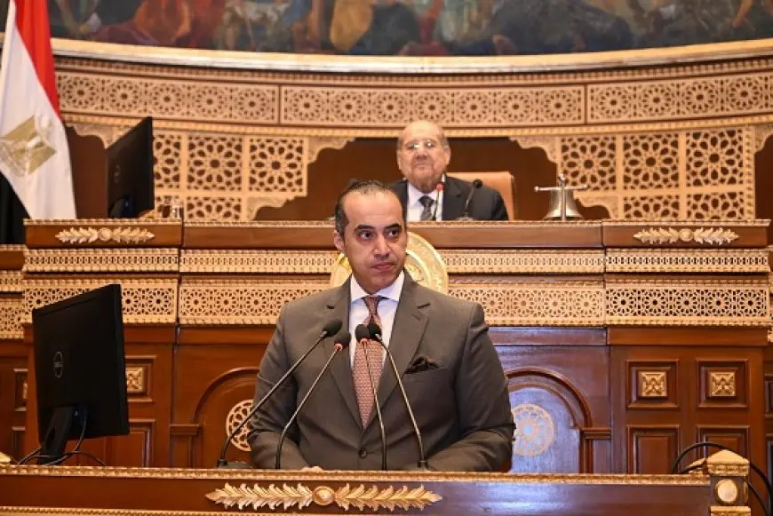 محمود فوزي عن مجلس الشيوخ في ختام دور الانعقاد: صوت مؤثر وقرارات تشريعية داعمة للدولة