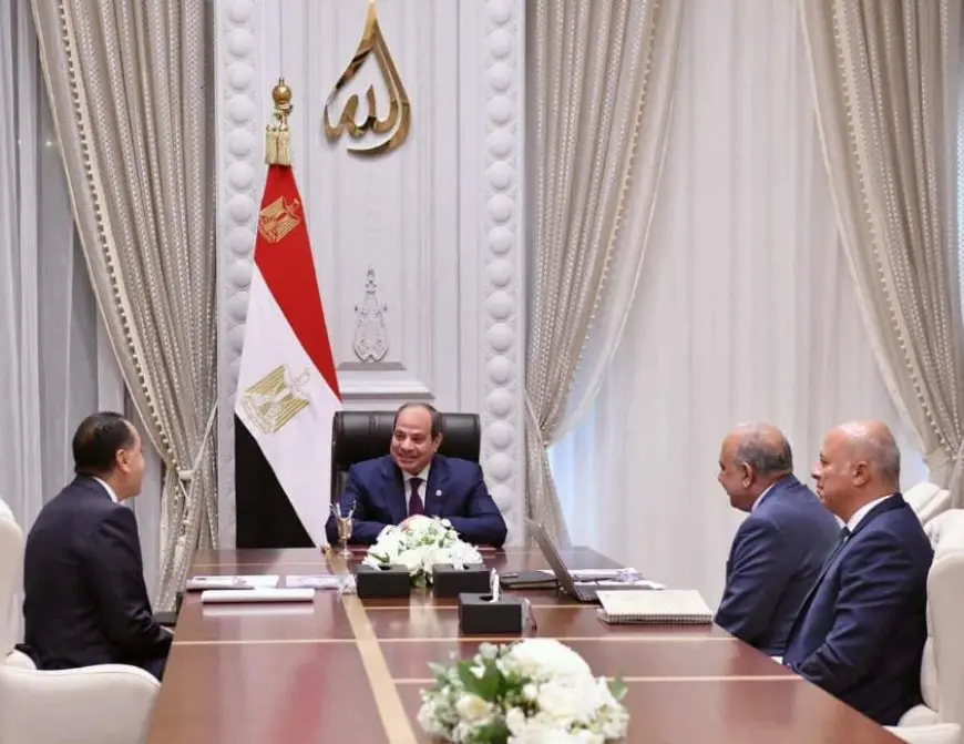 السيسي يتابع خطة عمل وزارة الكهرباء: يجب توطين الصناعات المرتبطة بالطاقة المتجددة