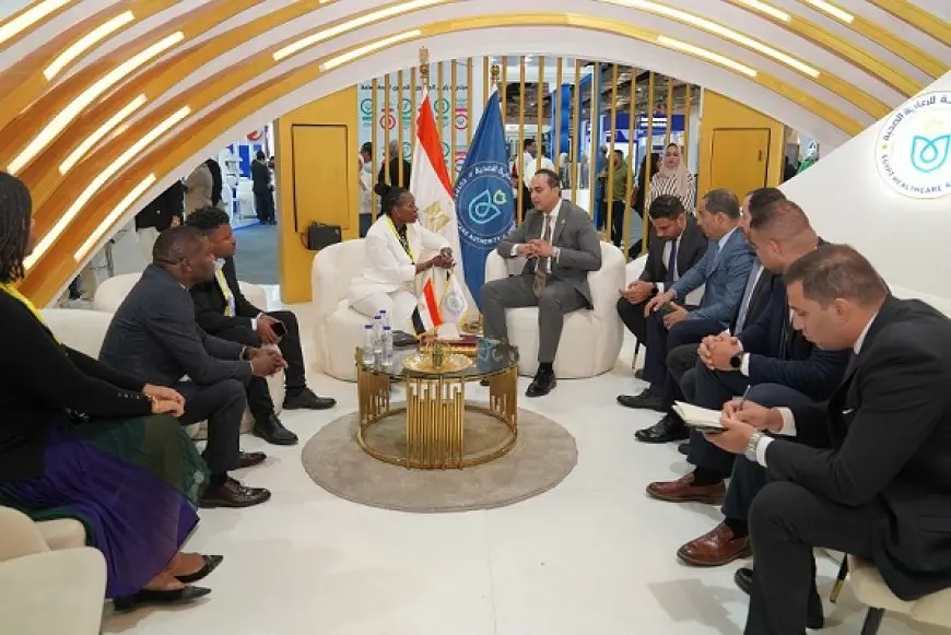 الرعاية الصحية: خارطة طريق وشراكات استراتيجية مرتقبة مع دول إفريقية