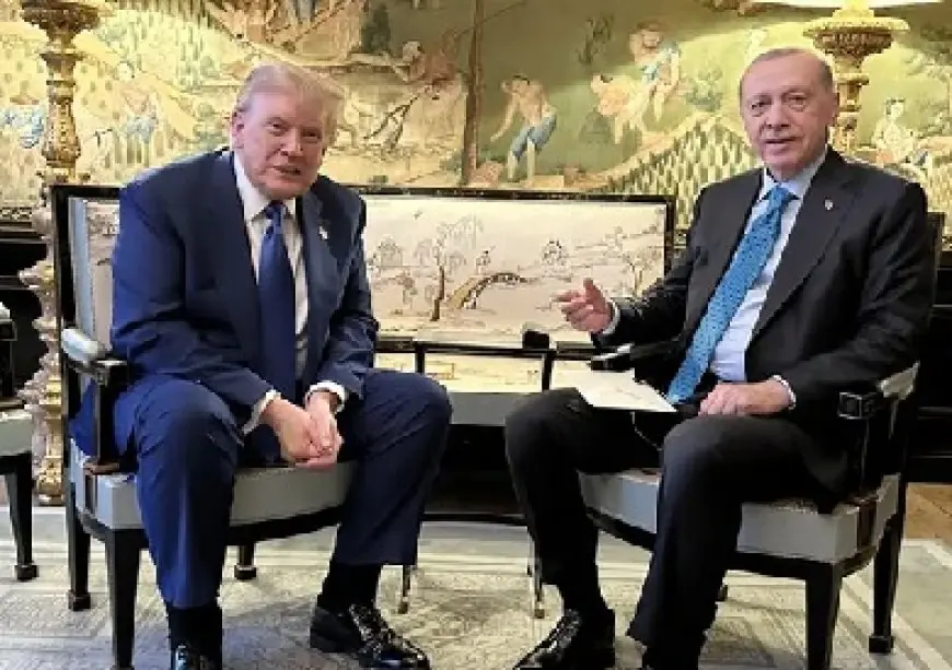 أردوغان يلتقي ترامب.. حديث عن إيران وإسرائيل وغزة وأوكرانيا