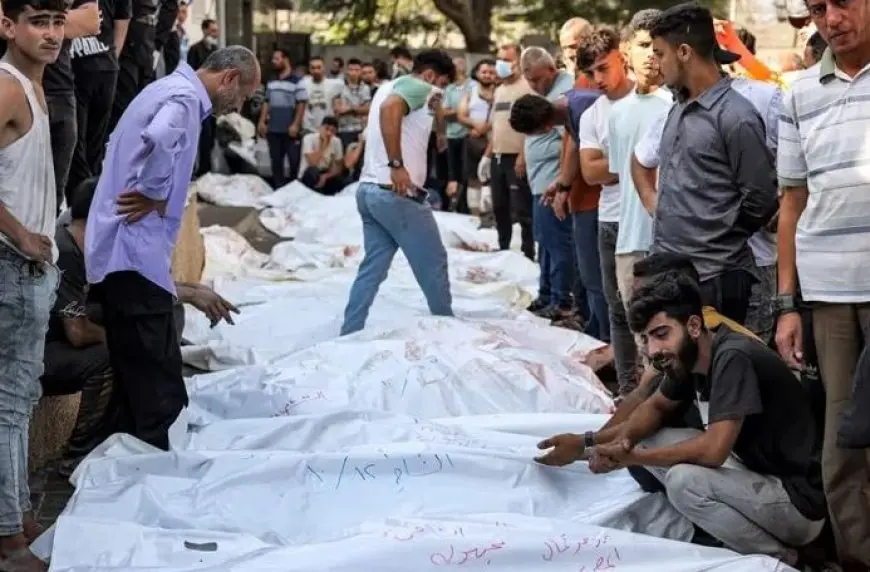 صحة غزة: 79 شهيدا و391 إصابة جراء عدوان الاحتلال آخر 24 ساعة
