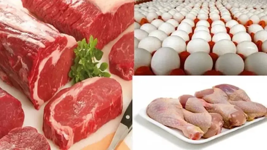 خريطة الأسعار اليوم: ارتفاع الدواجن واللحوم والحديد والذهب يستقر