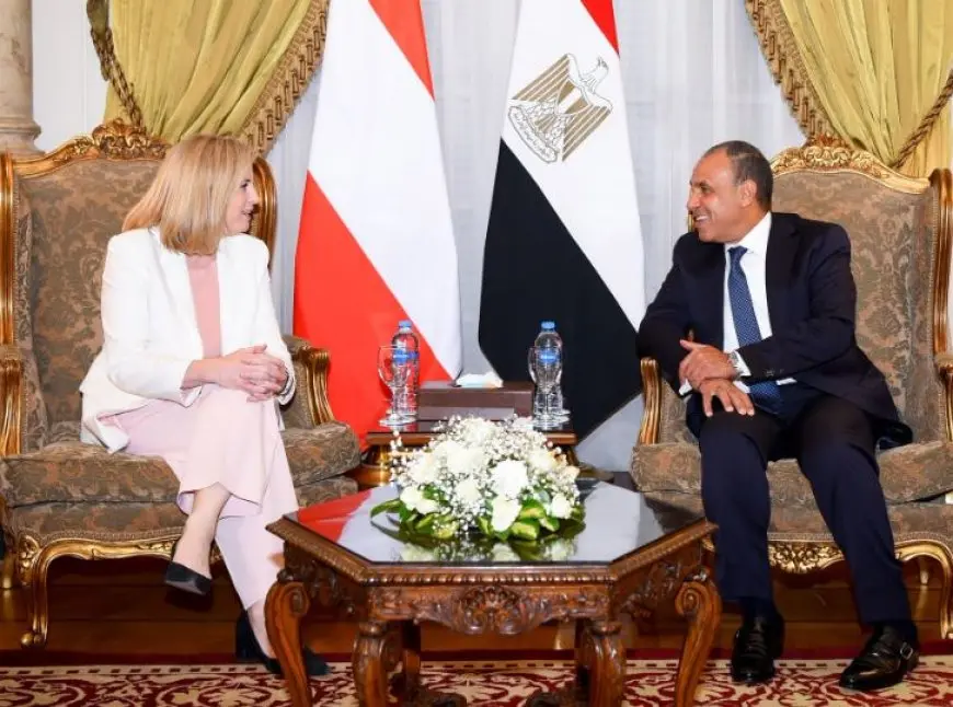 وزير الخارجية: تدشين آلية دورية للمشاورات السياسية بين مصر والنمسا