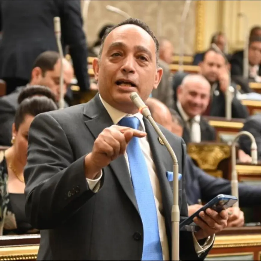 النائب فريدي البياضي: أرفض إنهاء عقود الإيجار القديم.. والحل تحرير الأجرة تدريجيا ودعم غير القادرين