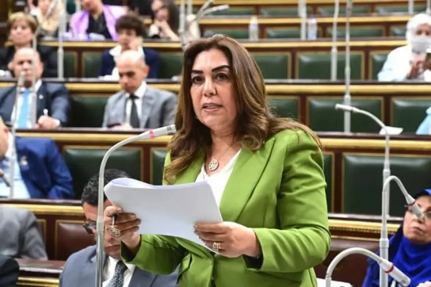 وزيرة التنمية المحلية تشارك بجلسة مناقشة مشروع قانون قواعد وإجراءات التصرف في أملاك الدولة الخاصة بمجلس النواب
