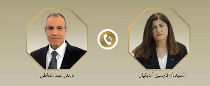 وزير الخارجية: مصر تواصل جهودها الدبلوماسية لإيجاد أفق سياسي للقضية الفلسطينية