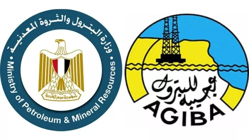 2500 برميل يوميا.. كشف جديد بحقول عجيبة للبترول بالصحراء الغربية