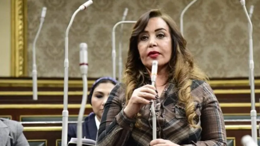 الإيجار القديم.. النائبة جيهان البيومي: على الحكومة ضمان توفير وحدات بديلة للمستأجرين