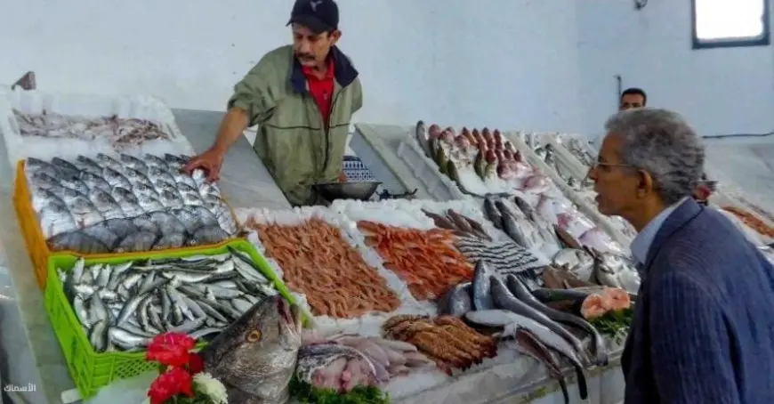 الثلاثاء 1 يوليو 2025.. نشرة أسعار الأسماك بسوق العبور