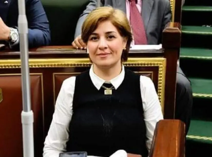النائبة إيمان العجوز: المواطن فقد الثقة في الحكومة.. ومحمود البرعي: المستأجر فوق السبعين يبقى في مسكنه حتى أجل ربنا