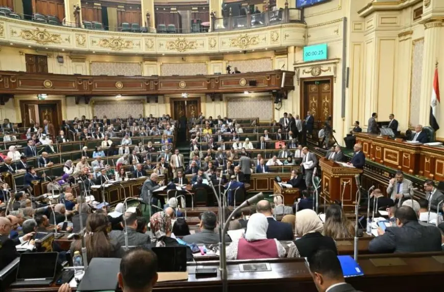 مجلس النواب يوافق على زيادة حوافز وبدلات بعض العاملين في القطاع الصحي من حيث المبدأ