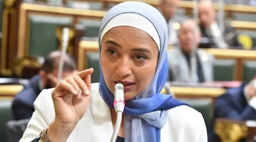 قانون الإيجار القديم.. النائبة أميرة أبو شقة للحكومة: أخفقتم في العديد من الملفات ونجحتم في إحداث شرخ في علاقة أوصى بها النبي