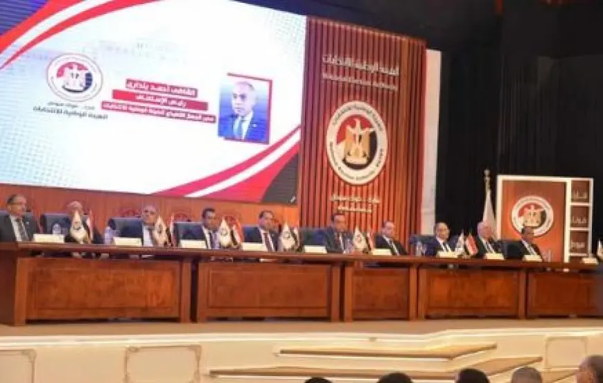 انتخابات مجلس الشيوخ: تخصيص يومي 1 و2 أغسطس لتصويت المصريين بالخارج