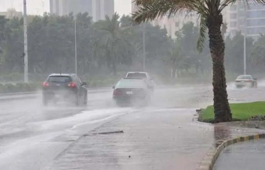 الأرصاد: منخفض جوي نادر سبب التقلبات الجوية الحالية