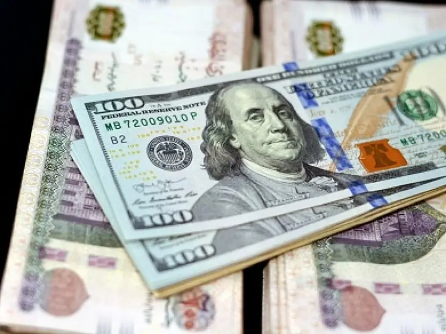 2 يوليو 2025.. الدولار يتراجع 4 قروش أمام الجنيه خلال منتصف التعاملات