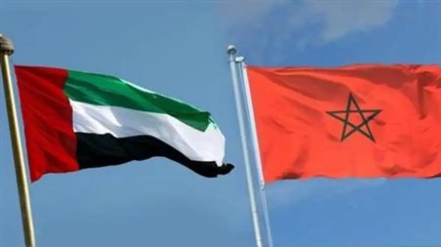 الرباط.. مباحثات مغربية إماراتية لتعزيز التعاون الأمني