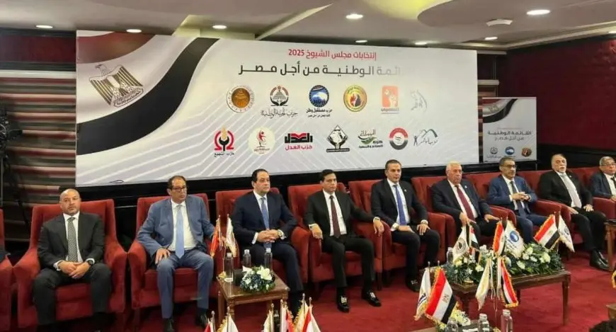 أمين عام حزب حماة الوطن: هناك أكثر من لقاء لإتمام عملية التحالف فى القائمة الوطنية