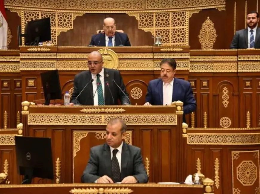 المحاكم الابتدائية تبدأ استقبال المترشحين في انتخابات مجلس الشيوخ