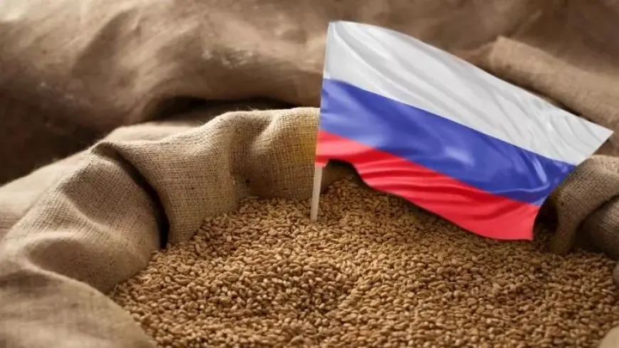 للمرة الأولى منذ 2021.. روسيا تخفض رسوم تصدير القمح إلى الصفر لتعزيز المبيعات