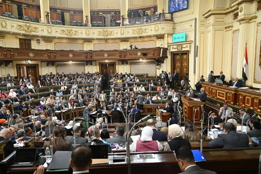 مجلس النواب يوافق على تعاقد هيئة الثروة المعدنية وشركة ستنامين لاستغلال خام الذهب في منطقة السكري