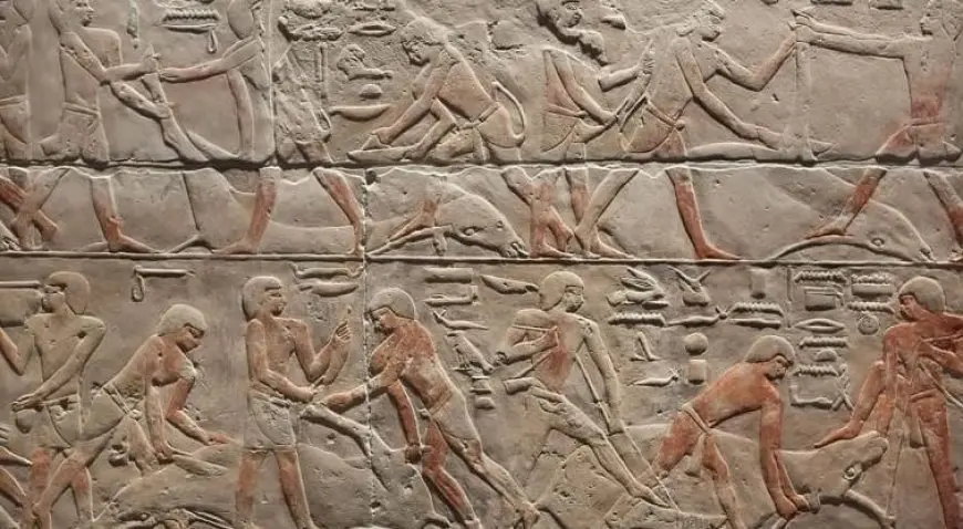 توفي في الستين من عمره.. اكتشاف أول تسلسل كامل للجينوم البشري من مصر القديمة لرجل عاش قبل 4800 عام