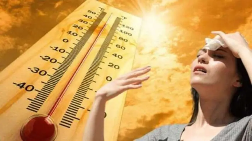 الأرصاد: نسب الرطوبة تصل إلى 100% ببعض المناطق الساحلية