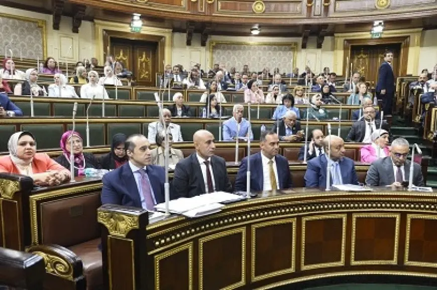 مجلس النواب يوافق على حد أقصى ألف جنيه لامتحان الراسبين.. ومحمود فوزي: لن نصل لهذه القيمة في المدى القريب