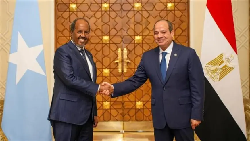 تعاون لاستقرار أمن القرن الإفريقي والبحر الأحمر.. ماذا قال السيسي بالمؤتمر الصحفي مع نظيره الصومالي؟
