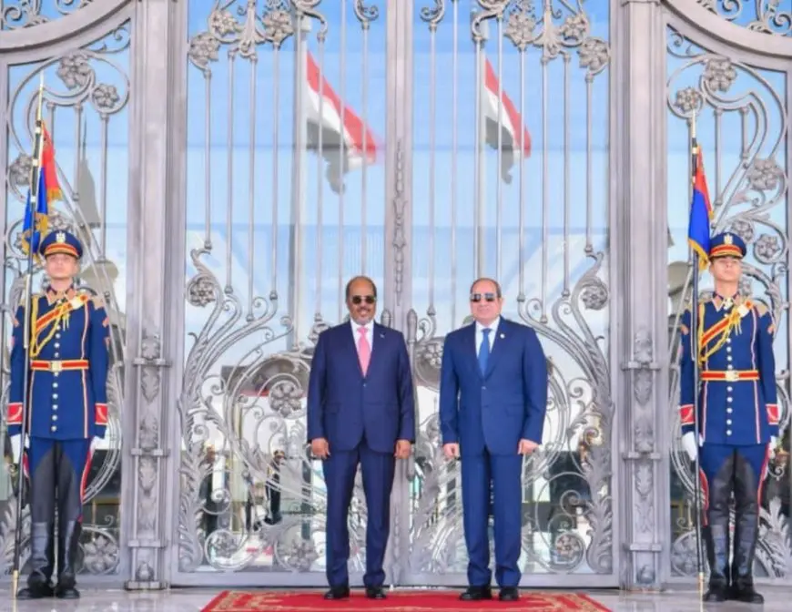 الرئيس السيسي: ملتزمون بمواصلة التنسيق مع الصومال في إطار بروتوكول التعاون العسكري