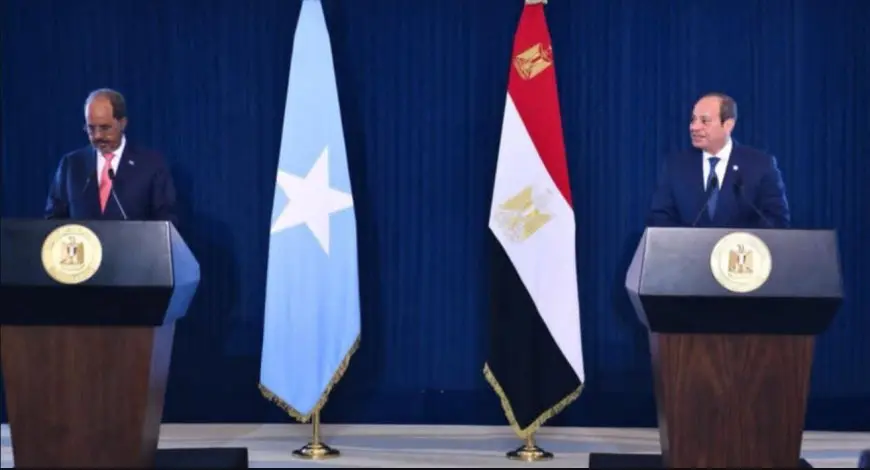 الرئيس السيسي: توافق مصري صومالي على استمرار التعاون لتحقيق أمن البحر الأحمر