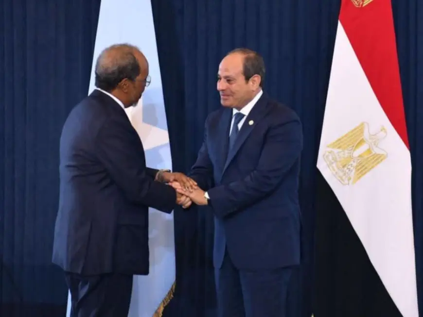 الرئيس السيسي: مصر ملتزمة بتقديم الدعم الكامل لمساعي تحقيق توافق وطني بالصومال