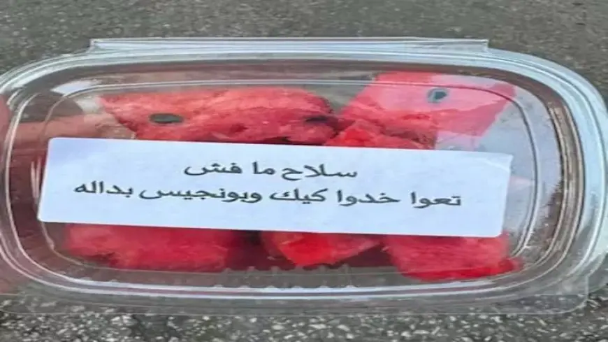 هل يتخلى حزب الله عن السلاح؟ آراء لبنانية ترسم مشهدا منقسما