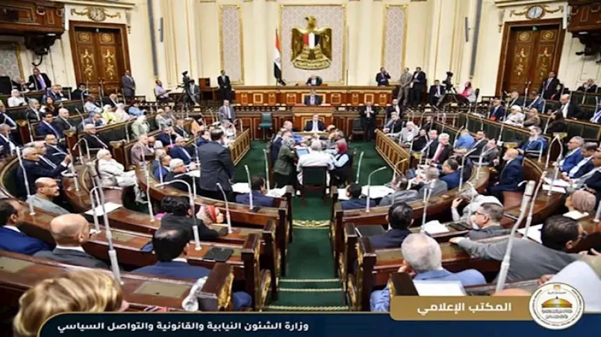 نائبة تطالب بضوابط لإنذارات الطاعة: آلاف السيدات يعانين