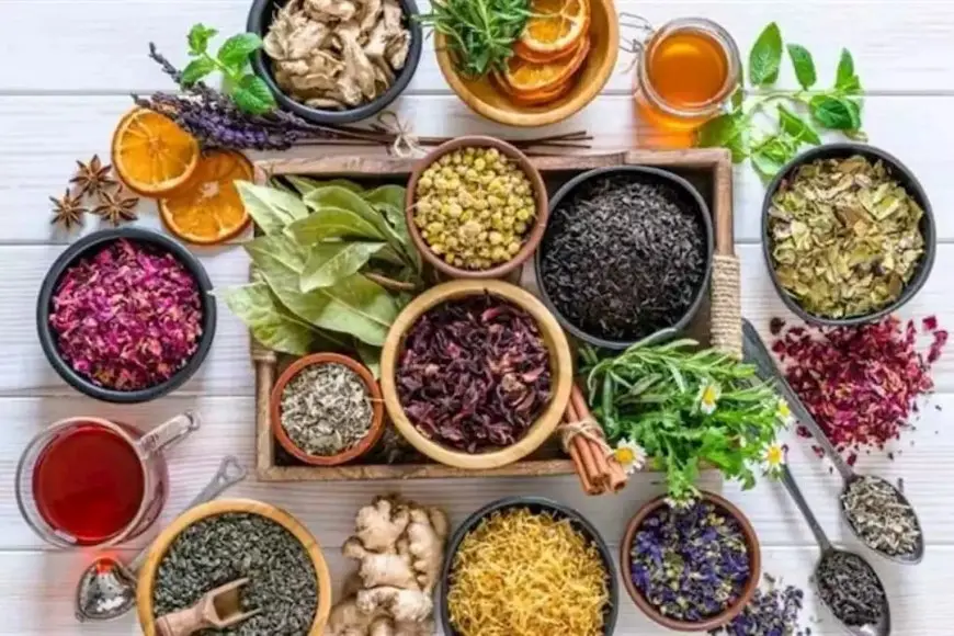 غنية بالفوائد.. ماذا يحدث لجسمك عند تناول هذه العشبة السحرية؟