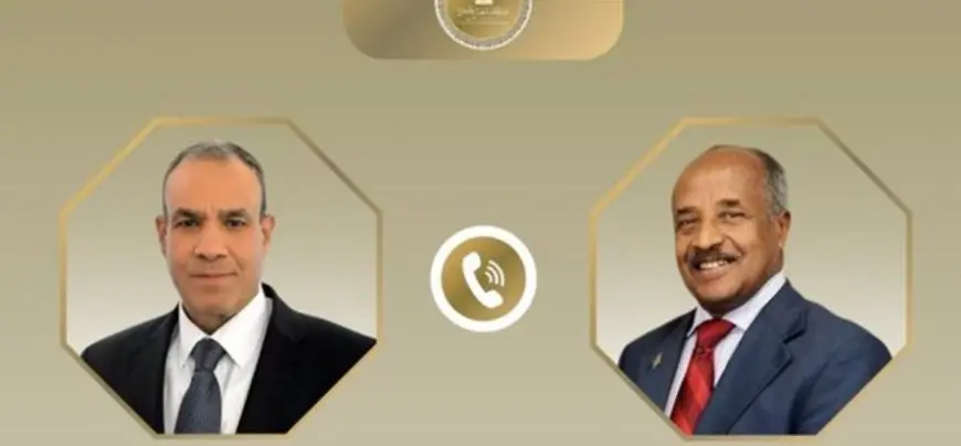 وزير الخارجية يؤكد على دعم مصر الكامل للمشروعات التنموية في إريتريا