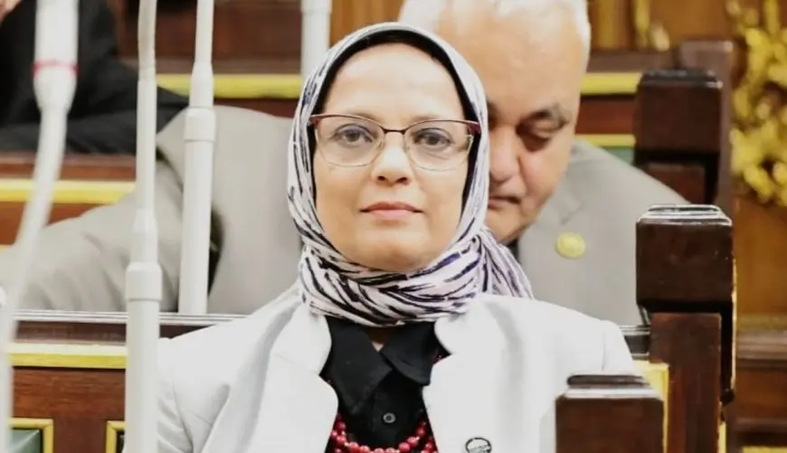 النائبة نجلاء العسيلي: زيارة رئيس وزراء الصين للقاهرة ترسي دعائم شراكة استراتيجية أوسع بين القاهرة وبكين