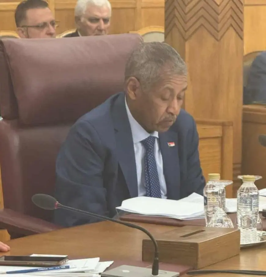 ماذا قال مندوب السودان الدائم لدى جامعة الدول العربية أمام مجلس الوحدة الاقتصادية؟