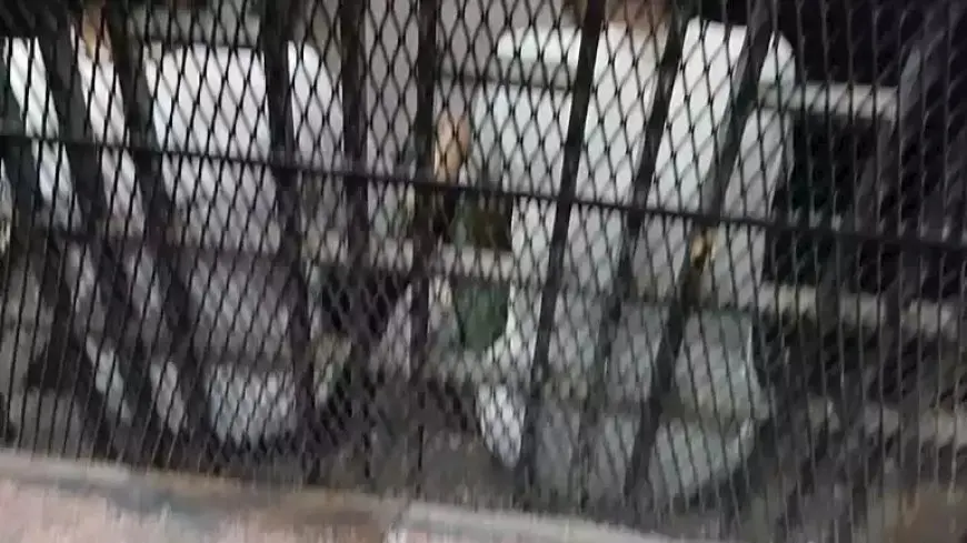 مشادة انتهت بجريمة.. محاكمة عاطل متهم بقتل “سائق البراجيل”