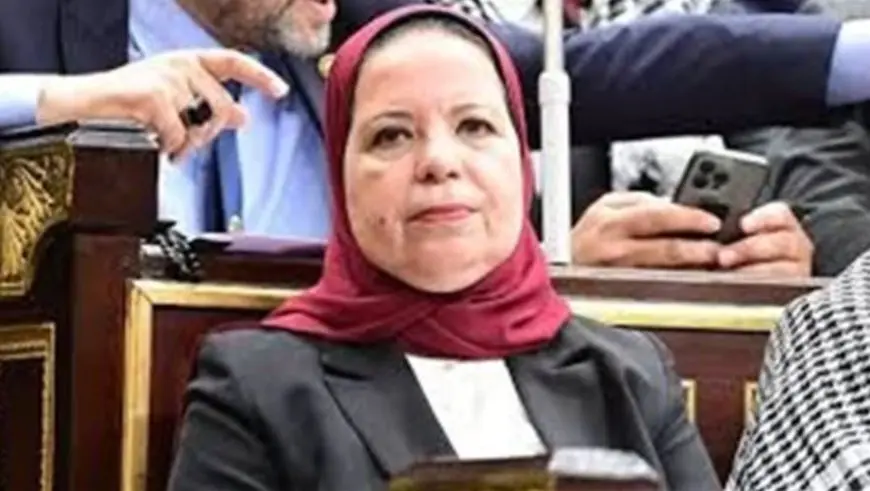 عضو لجنة التعليم بمجلس النواب: مسارات نظام البكالوريا تحتاج إلى إعادة نظر لهذه الأسباب
