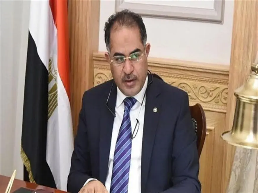 سليمان وهدان: مصر دولة عظيمة قادرة على إدارة انتخاباتها بشكل حضاري